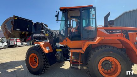 Wheel loader Doosan DL250-5 - 2