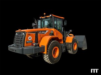 Wheel loader Doosan DL250-5 - 2